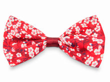 Load image into Gallery viewer, Liberty print Mitsi Valeria Hair Bow